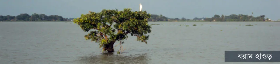 দিরাই পৌরসভার ব্যানার